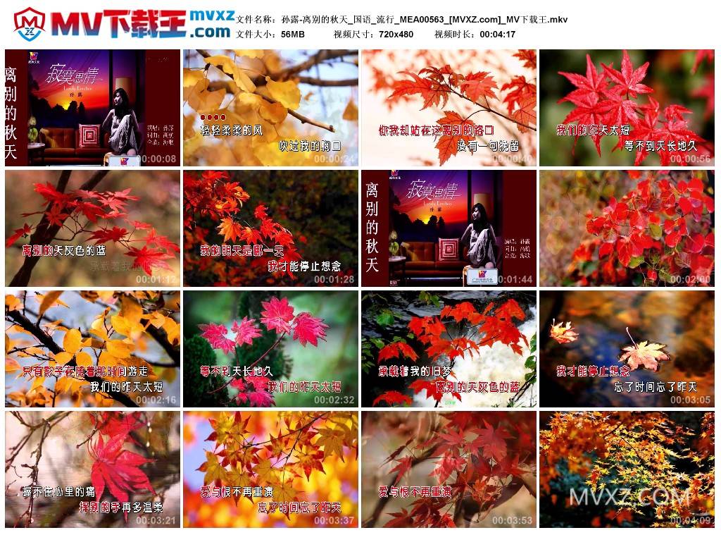 孙露-离别的秋天_国语_流行_MEA00563